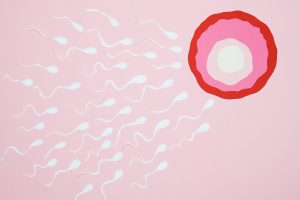 Cat de mult putem extinde fertilitatea feminina pentru a avea copii chiar si la varste inaintate?