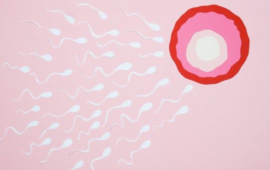 Cat de mult putem extinde fertilitatea feminina pentru a avea copii chiar si la varste inaintate?