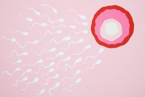 Indicele de masa corporala si greutatea corporala influenteaza fertilitatea feminina si conceperea unui copil pe cale naturala
