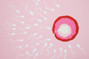 Spermatozoidul alege ovulul sau ovulul alege spermatozoidul care il va fecunda?