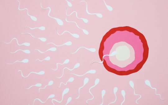Mucusul cervical si rolul sau in determinarea fertilitatii