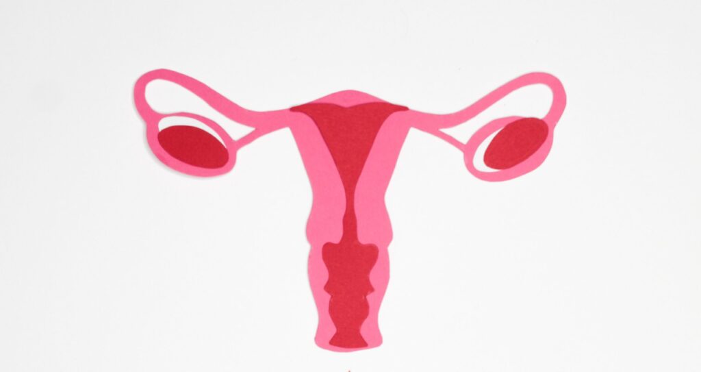 Trompele uterine blocate, o cauza comuna a infertilitatii