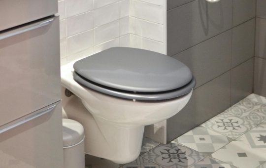 Laxativele in sarcina. Pot fi administrate si care sunt cele mai sigure pentru mamica?