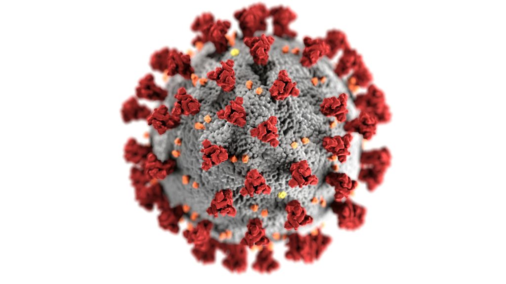 Infectarea cu SARS-CoV-2 si COVID-19 la copiii mici si bebelusi. Preventie, vaccinare, simptome comune