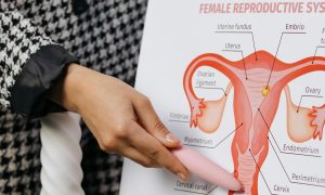 Prin ce schimbari trece cervixul in timpul sarcinii si in apropierea datei nasterii?