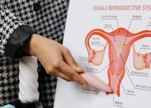 Schimbarile sistemului reproducator feminin din timpul sarcinii. Ce efecte are sarcina asupra sistemului reproducator?