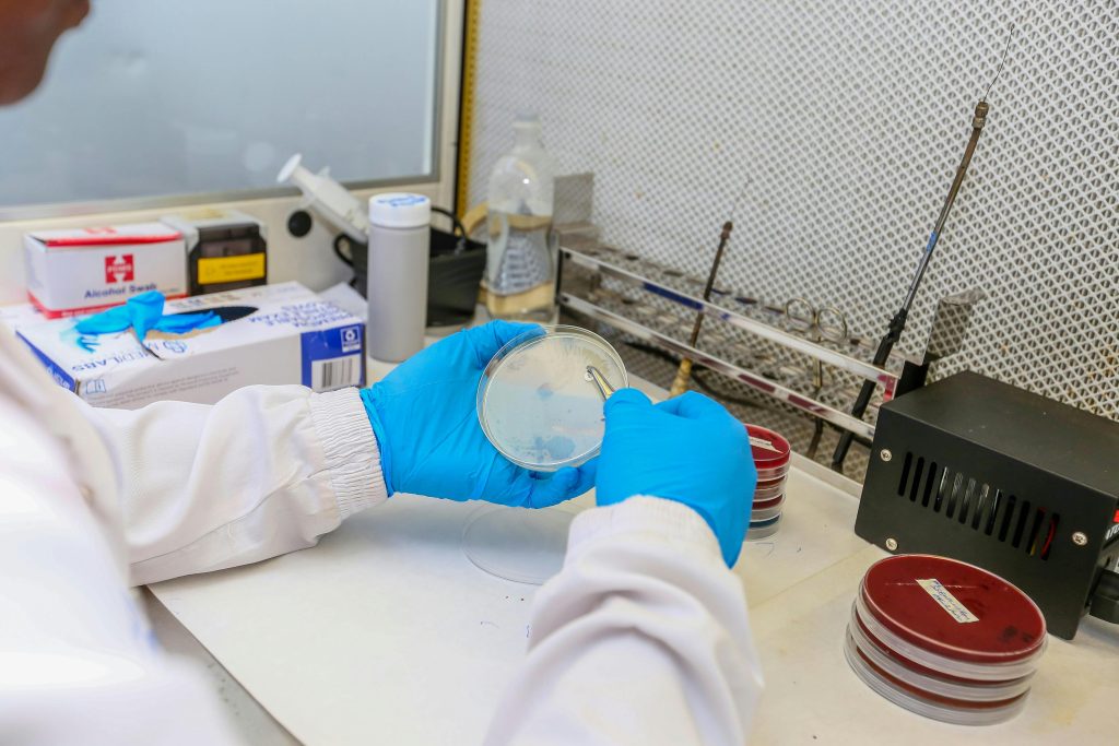 CAPA-IVM, o metoda utila in reducerea dependentei de injectii hormonale in timpul tratamentelor de fertilizare in vitro